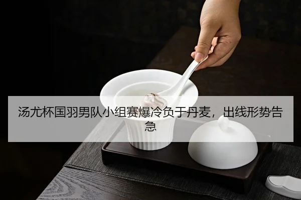 tang-you-bei-guo-yu-nan-dui-xiao-zu-sai-bao-leng-fu-yu-dan-mai-chu-xian-xing-shi-gao-ji-1-337.jpg