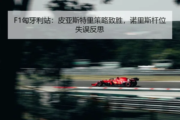 xiong-ya-li-zhan-pi-ya-si-te-li-ce-lve-zhi-sheng-nuo-li-si-gan-wei-shi-wu-fan-si-2-600.jpg