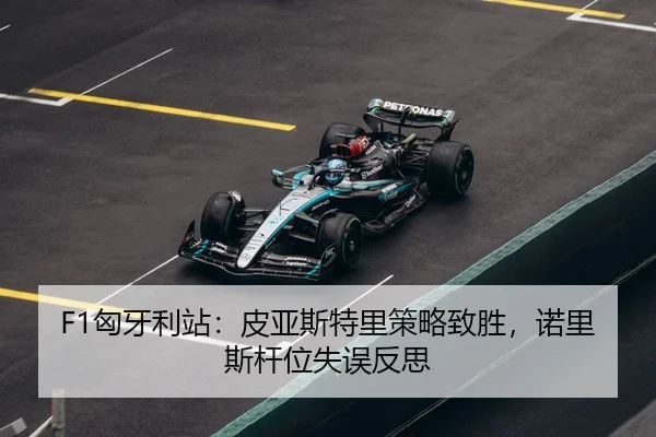 xiong-ya-li-zhan-pi-ya-si-te-li-ce-lve-zhi-sheng-nuo-li-si-gan-wei-shi-wu-fan-si-3-640.jpg