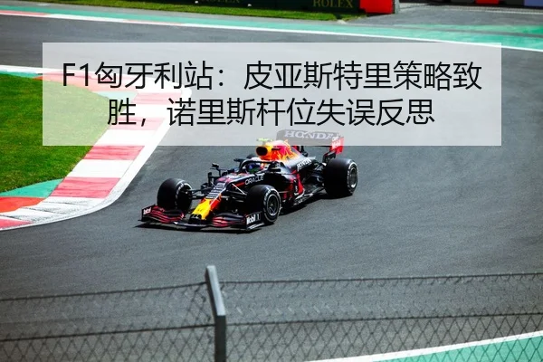xiong-ya-li-zhan-pi-ya-si-te-li-ce-lve-zhi-sheng-nuo-li-si-gan-wei-shi-wu-fan-si-1-584.jpg