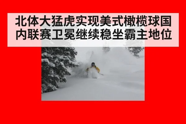 北体大猛虎实现美式橄榄球国内联赛卫冕继续稳坐霸主地位