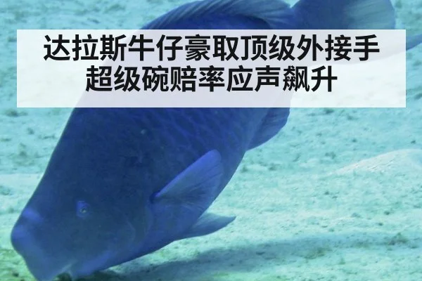 达拉斯牛仔豪取顶级外接手超级碗赔率应声飙升